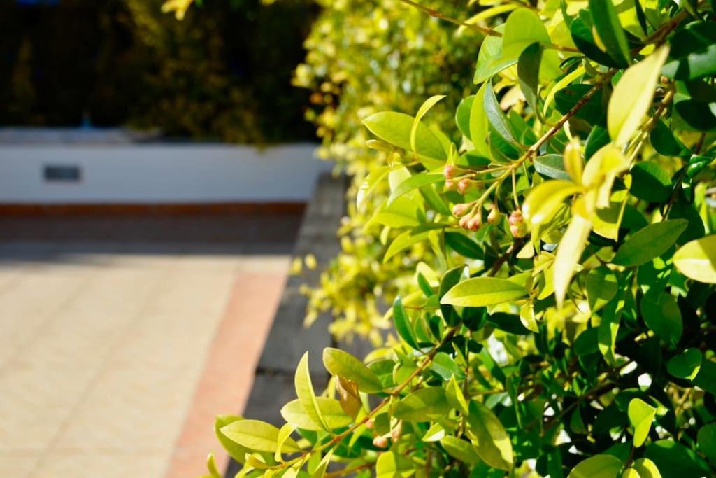 Apartment Eltael - Daniel - Warm Pool Until 1 November