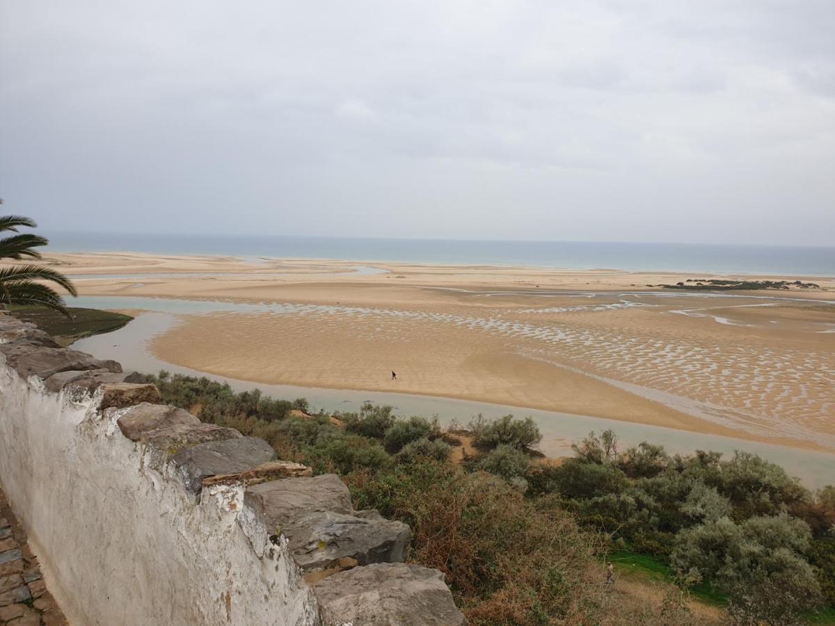 Eltael - Daniel - Warm Pool Until 1 November * Manta Rota